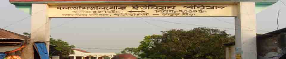 আমজানখোর ইউনিয়ন কমপ্লেক্স ভবন বালিয়াডাঙ্গী, ঠাকুরগাঁও।