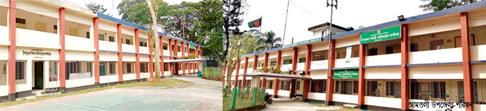 আমতলী উপজেলা পরিষদ