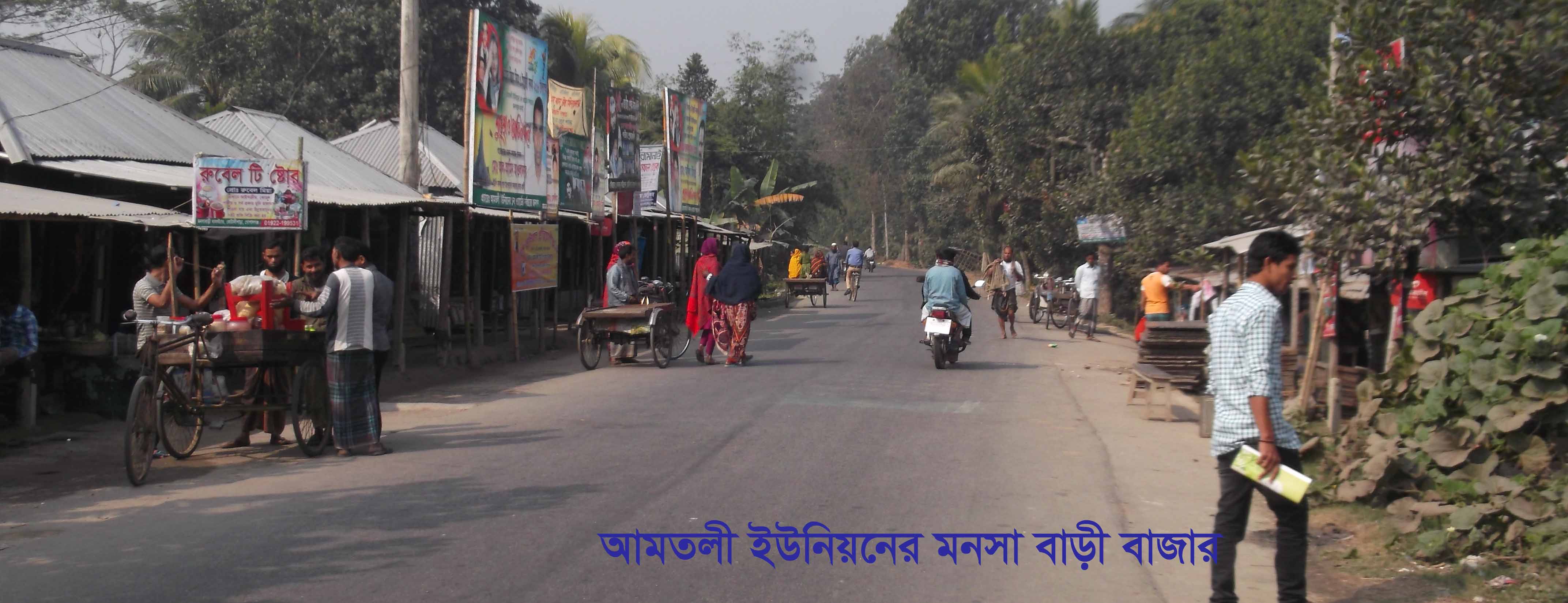 আমতলী ইউনিয়নের বেড়ী বাধের রাস্তা।