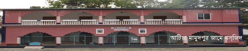 আটিয়া মামুদপুর জামে মসজিদ