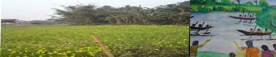 ফসল