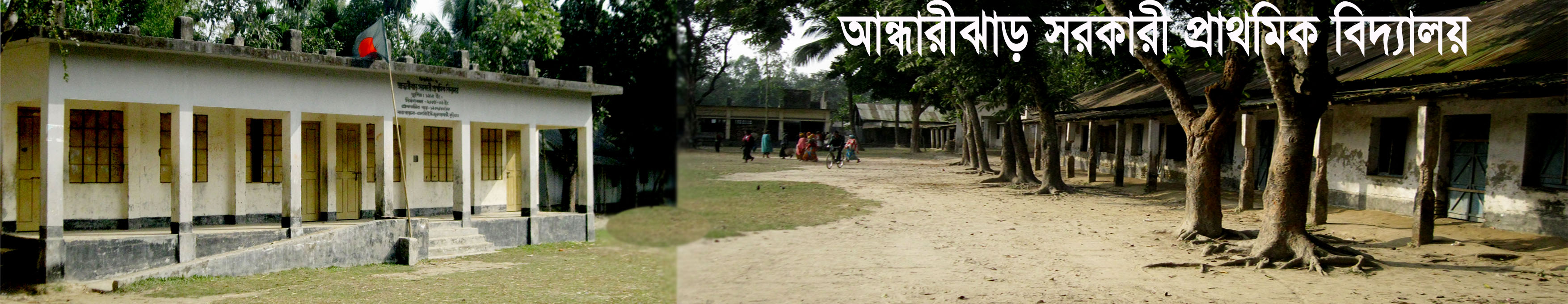 আন্ধারীঝাড় ইউপি