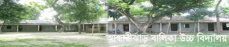 আন্ধারীঝাড় বালিকা উচ্চ বিদ্যালয়