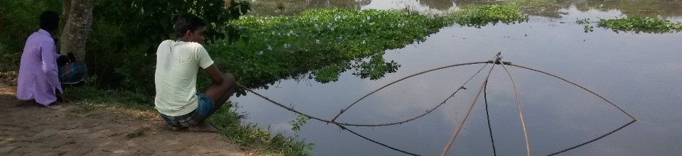 প্রাকৃতিক দৃশ্য