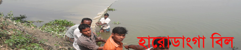 হারো ডাংগা বিল