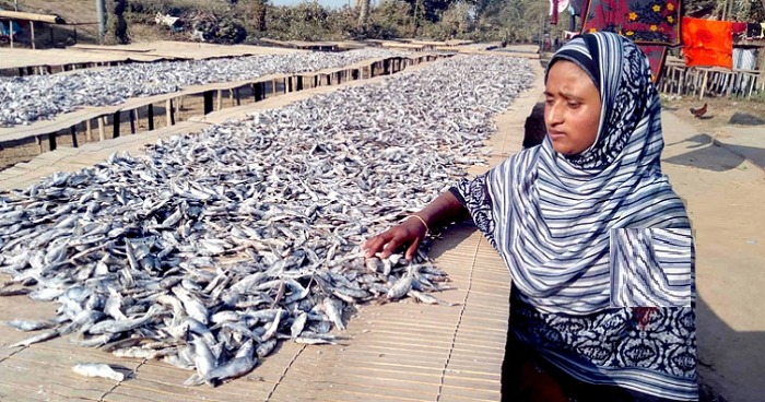 মিঠা পানির মাছের শুটকি ।