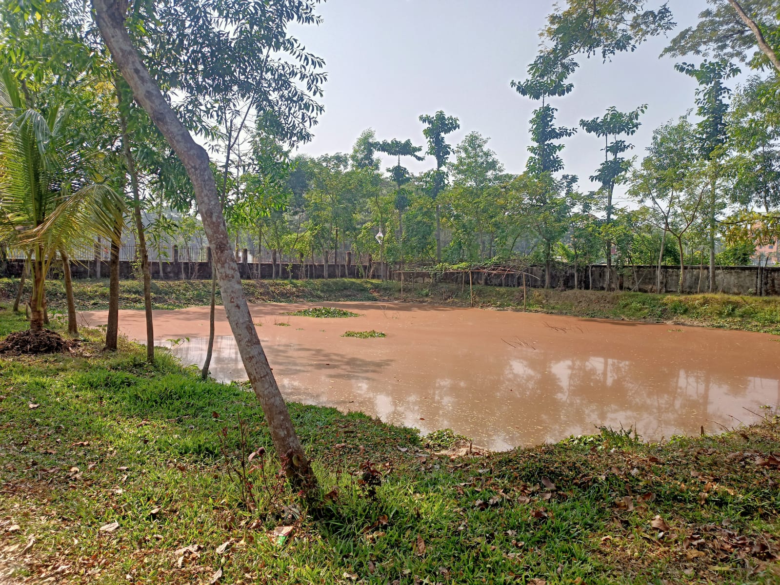 বালাগঞ্জ