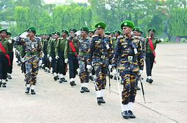 প্যারেডের ছবি