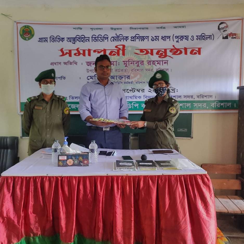 আনসার ও ভিডিপি