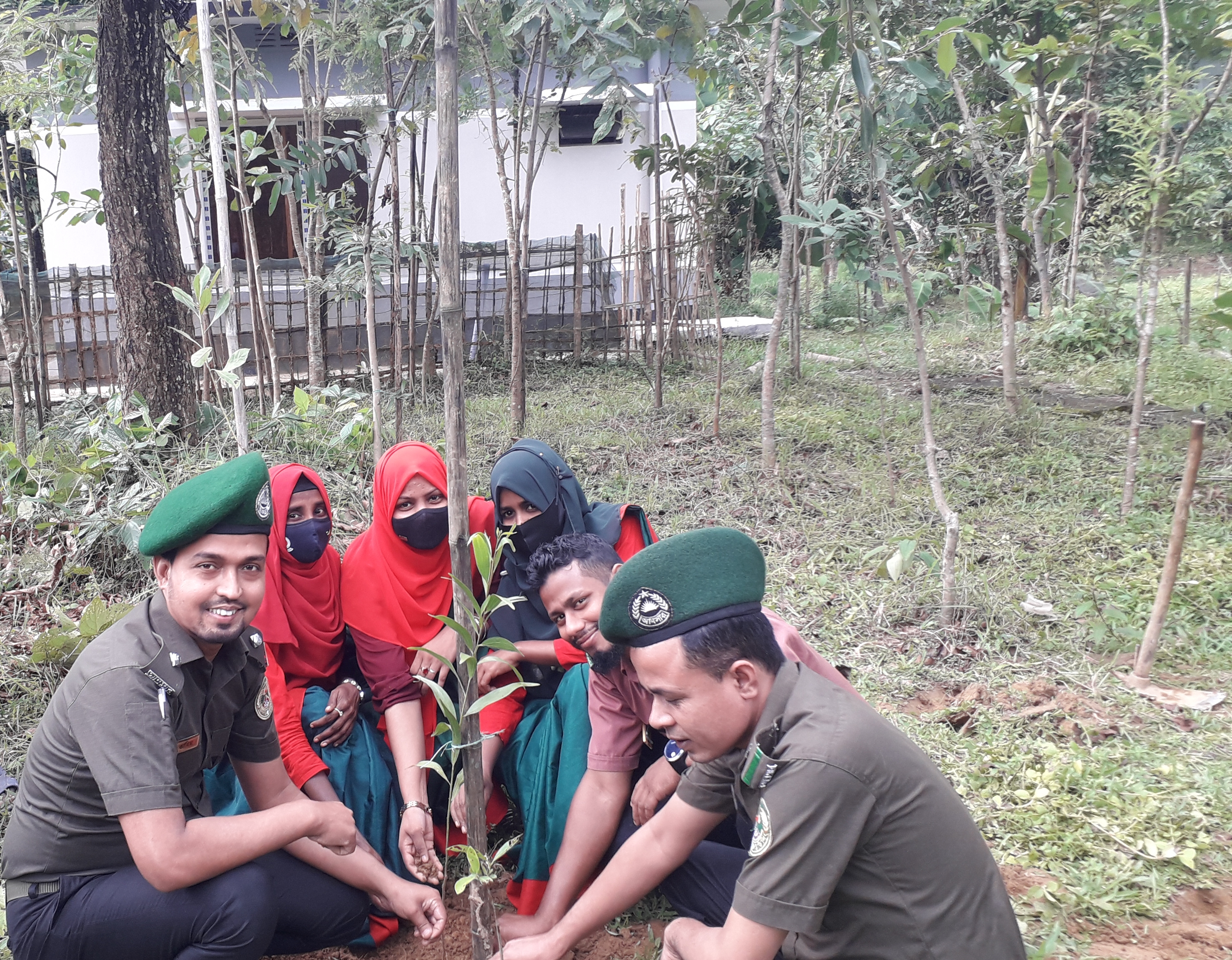 বৃক্ষরোপন অভিযান