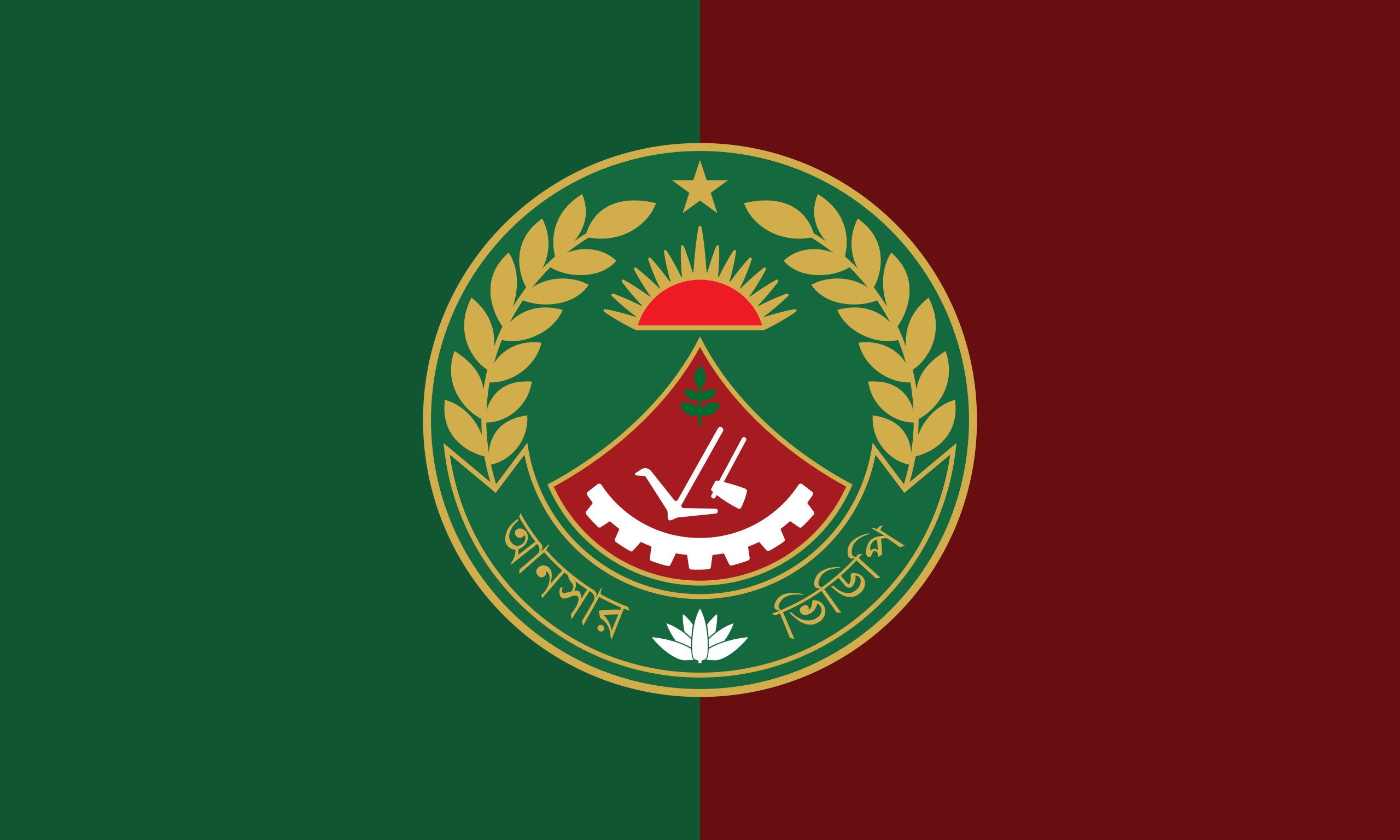 আনসার ও ভিডিপি