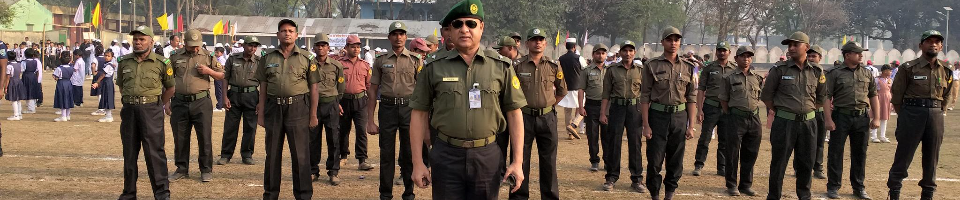 বিজয় দিবস