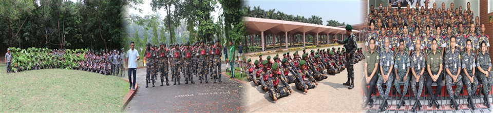 উপজেলা আনসার ও ভিডিপি কার্যালয়