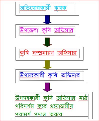 ফটোগ্যালারী 