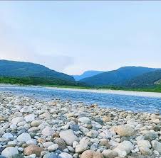 ব্যানার