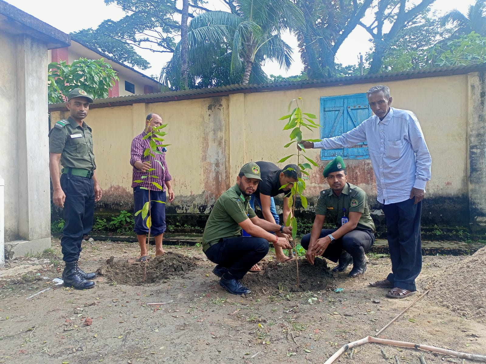 বৃক্ষরোপন কর্মসূচি