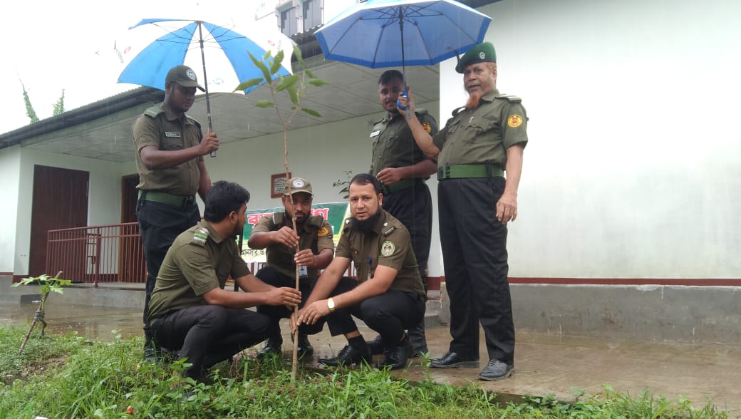 বৃক্ষরোপন অভিযান