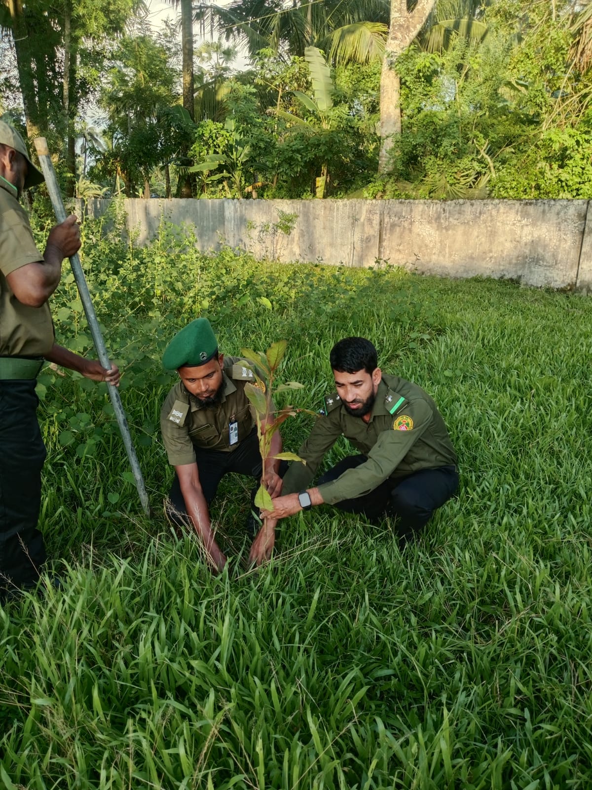বৃক্ষরোপন কর্মসূচি- ২০২৫