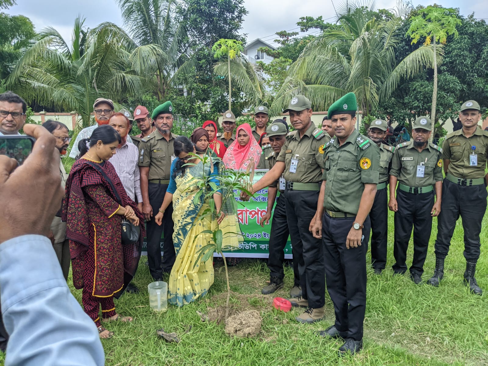 Tree Plantation -2024