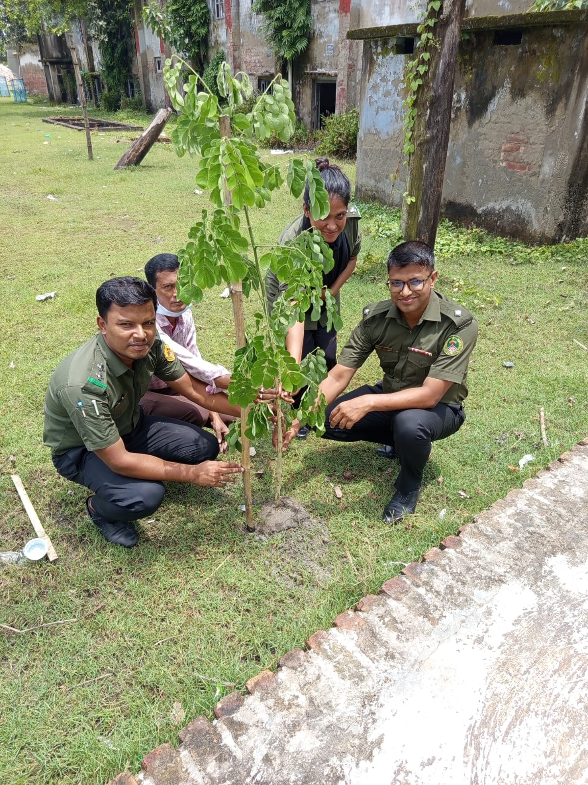 বৃক্ষরোপন ২০২৫
