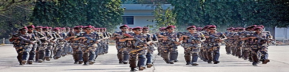 আনসার ও ভিডিপি