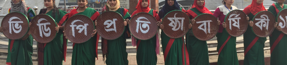 ভিডিপি দিবস