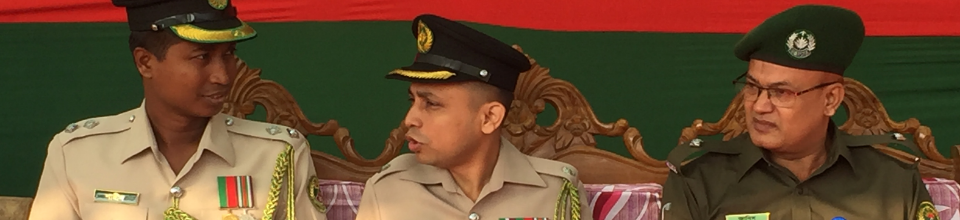 বিজয় দিবস