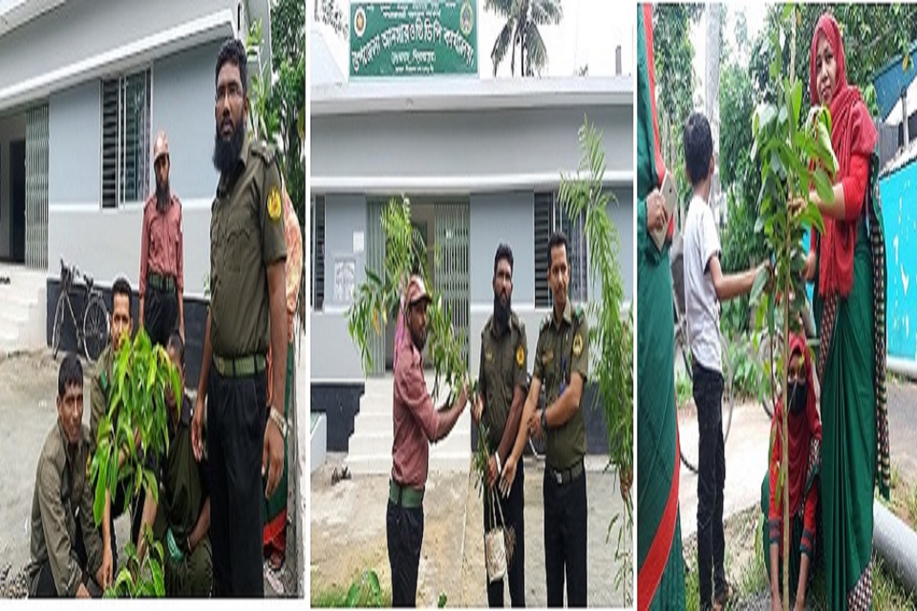 বৃক্ষরোপন অভিযান