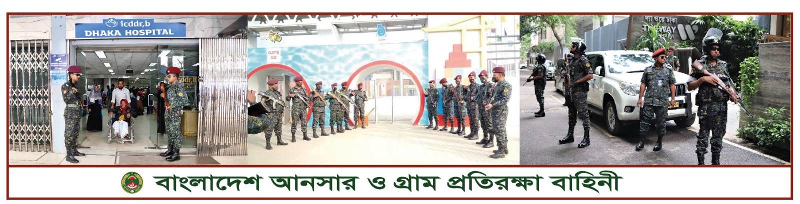 উপজেলা আনসার ও ভিডিপি কার্যালয়