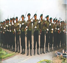 জননিরাপত্তা