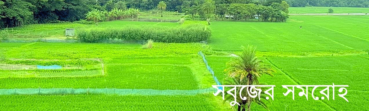 সবুজের সমরোহ