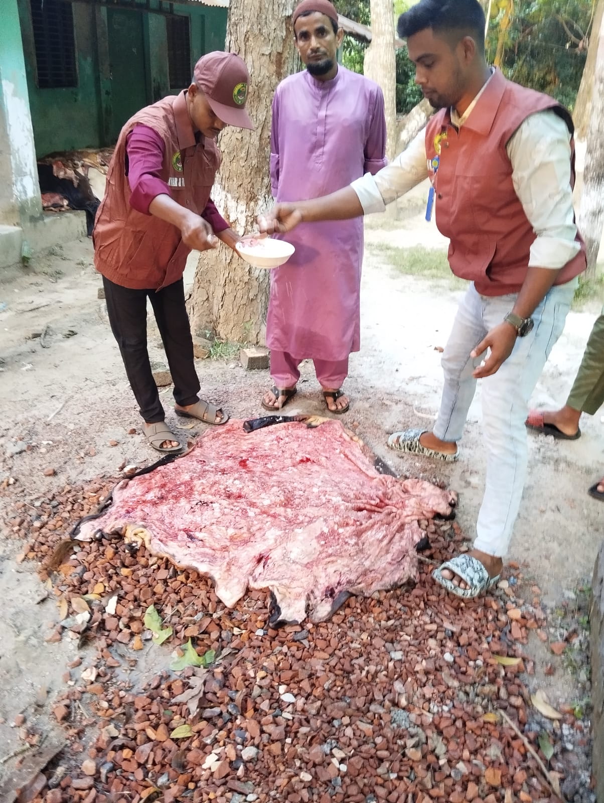 পবিত্র ঈদুল আজাহা উপলক্ষে কুরবনীকৃত পশুর চামড়া সংরক্ষণে ভিডিপি সদস্যদের ভূমিকা ।