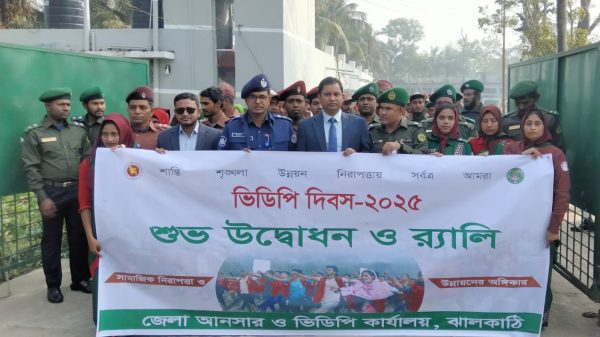 ভিডিপি দিবস