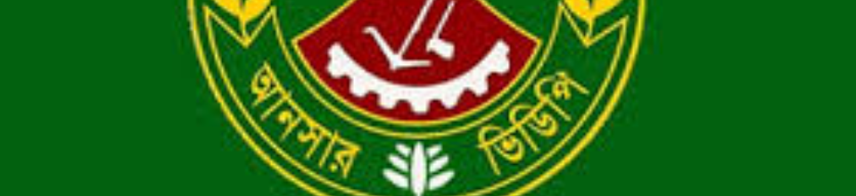 আনসার ভিডিপি