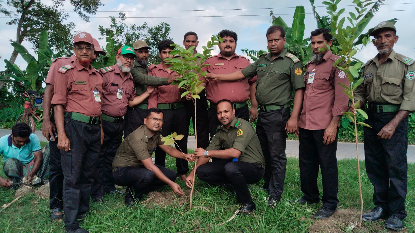 বৃক্ষরোপণ কর্মসূচি ২০২৫