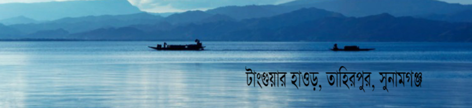টাংগুয়ার হাওড়, তাহিরপুর, সুনামগঞ্জ।