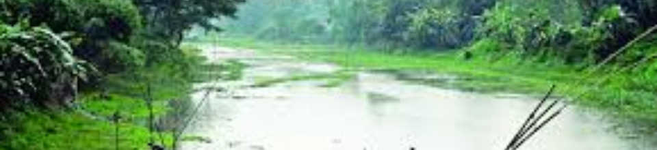 নরসুন্দা নদী