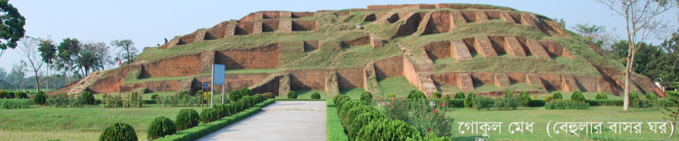 গোকুল মেধ