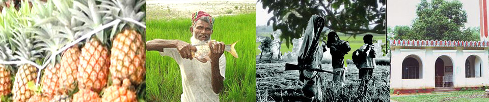 ব্যানার