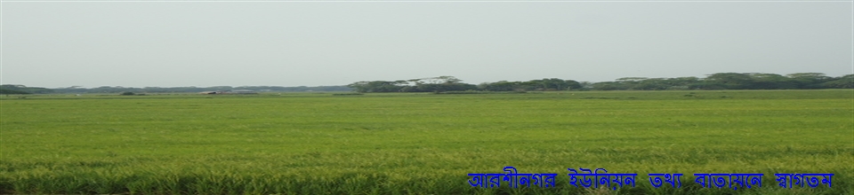 ধান ক্ষেত