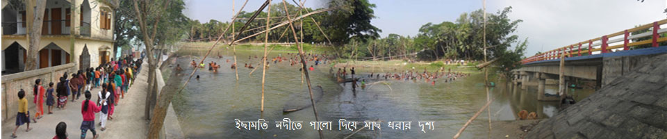 আরুয়ার ঘোনাপাড়া মাচাইন ব্রীজ ও ইছামতি নদীতে পালো দিয়ে মাছ ধরার দৃশ্য