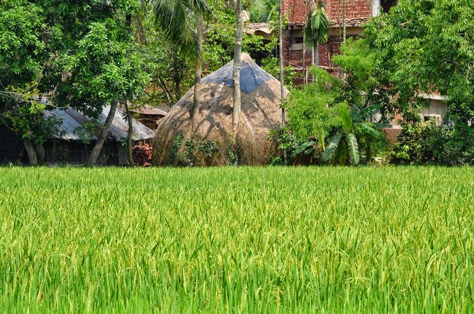 গ্রাম বাংলা