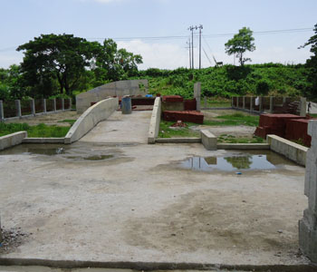 ফটো গ্যালারী