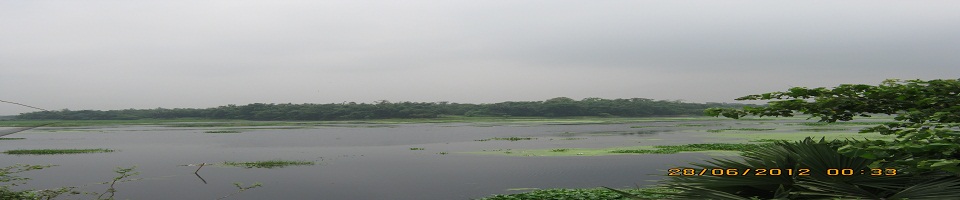 আশুলিয়া ইউনিয়ন