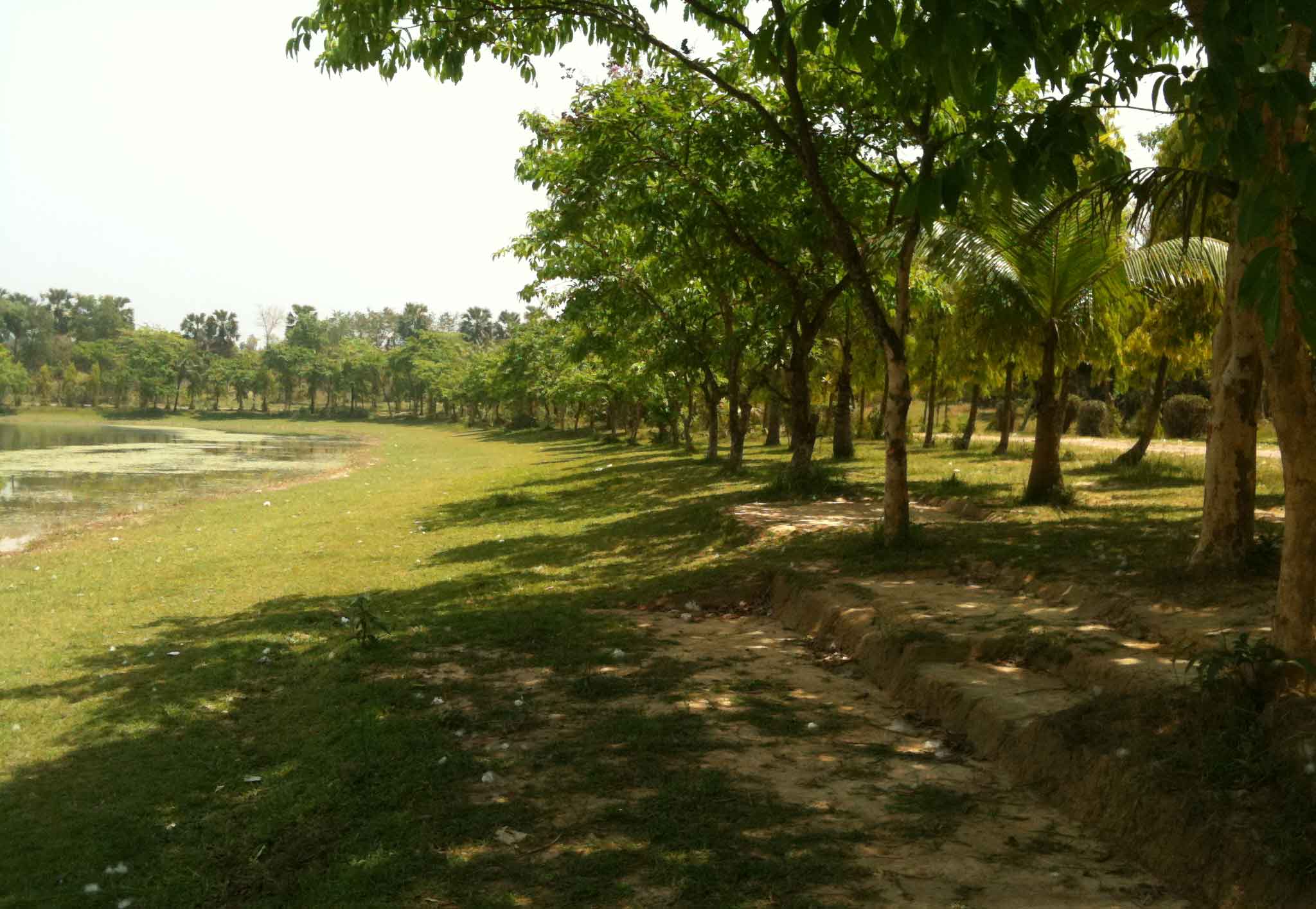 রামসাগর বন বিভাগ