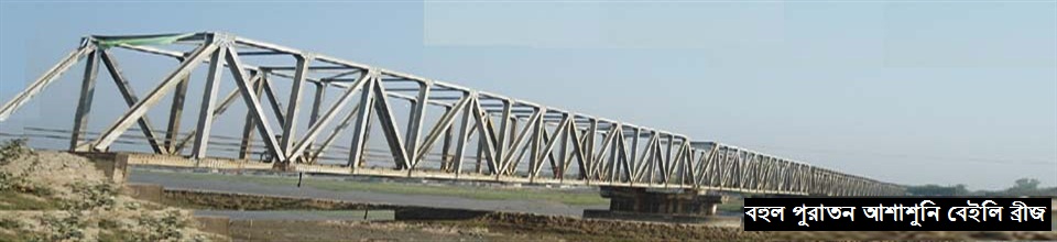 চাপড়া ব্রীজ, আশাশুনি।