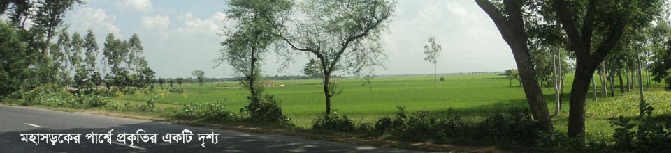 আতাইকুলা ইউনিয়নে মহাসড়কের পাশে একটি প্রাকৃতিক দৃশ্য