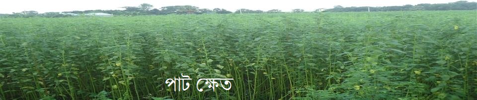 প্রাকৃতিক