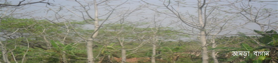 আটঘর আমড়া বাগান