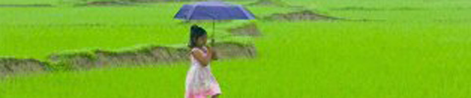 প্রকৃতি